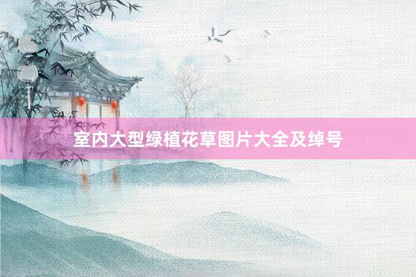 室内大型绿植花草图片大全及绰号