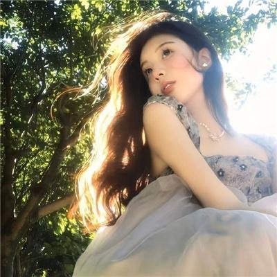 直言真相第一季